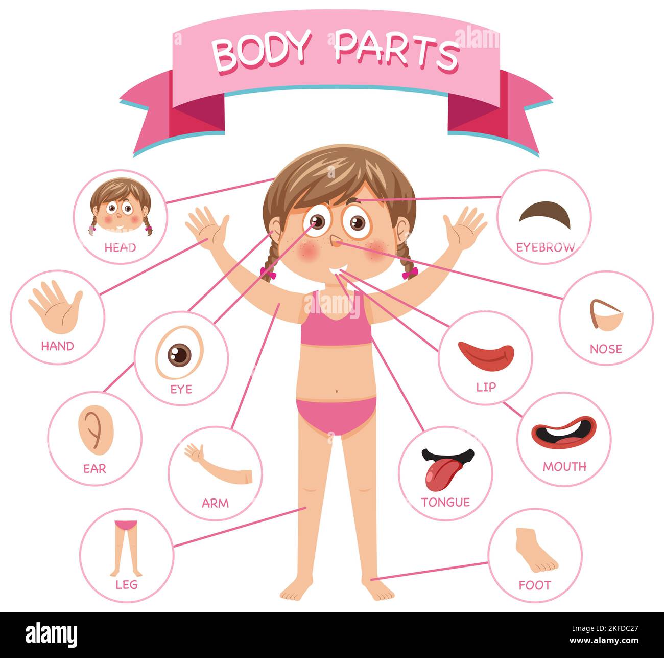 Body parts with vocabulary illustration Stock Photo - Alamy