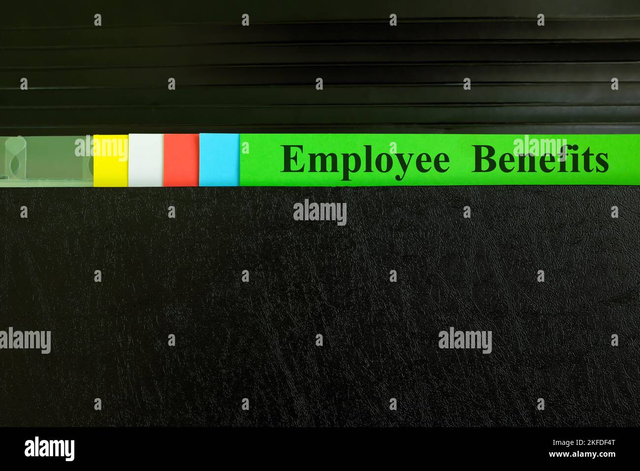 Employee benefits file in black binder folder. Human resources business