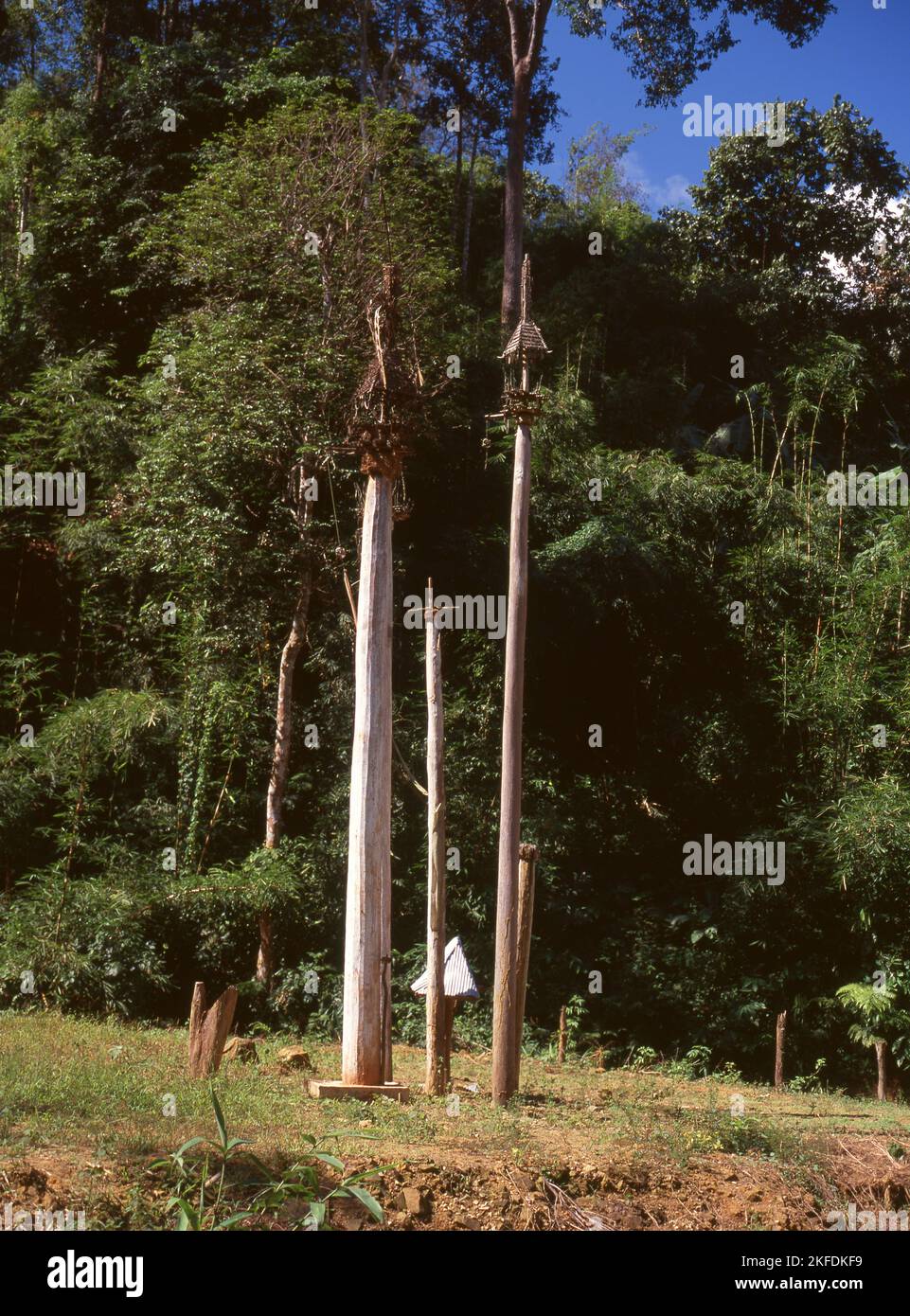 Thailand: Kay Htoe Boe poles used to dance around during the annual Kay Htein Bo festival, in a Padaung (Long Neck Karen), village near Mae Hong Son. The Padaung or Kayan Lahwi or Long Necked Karen are a subgroup of the Kayan, a mix of Lawi, Kayan and several other tribes. Kayan are a subgroup of the Red Karen (Karenni) people, a Tibeto-Burman ethnic minority of Burma (Myanmar). Stock Photo