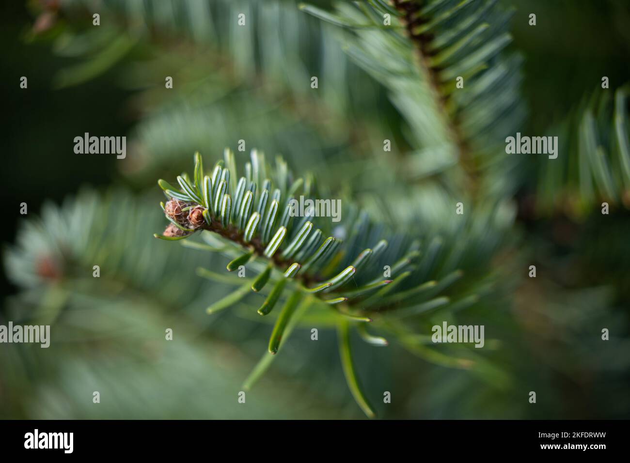 10 November 2022, Lower Saxony, Osnabrück View of the branch of a