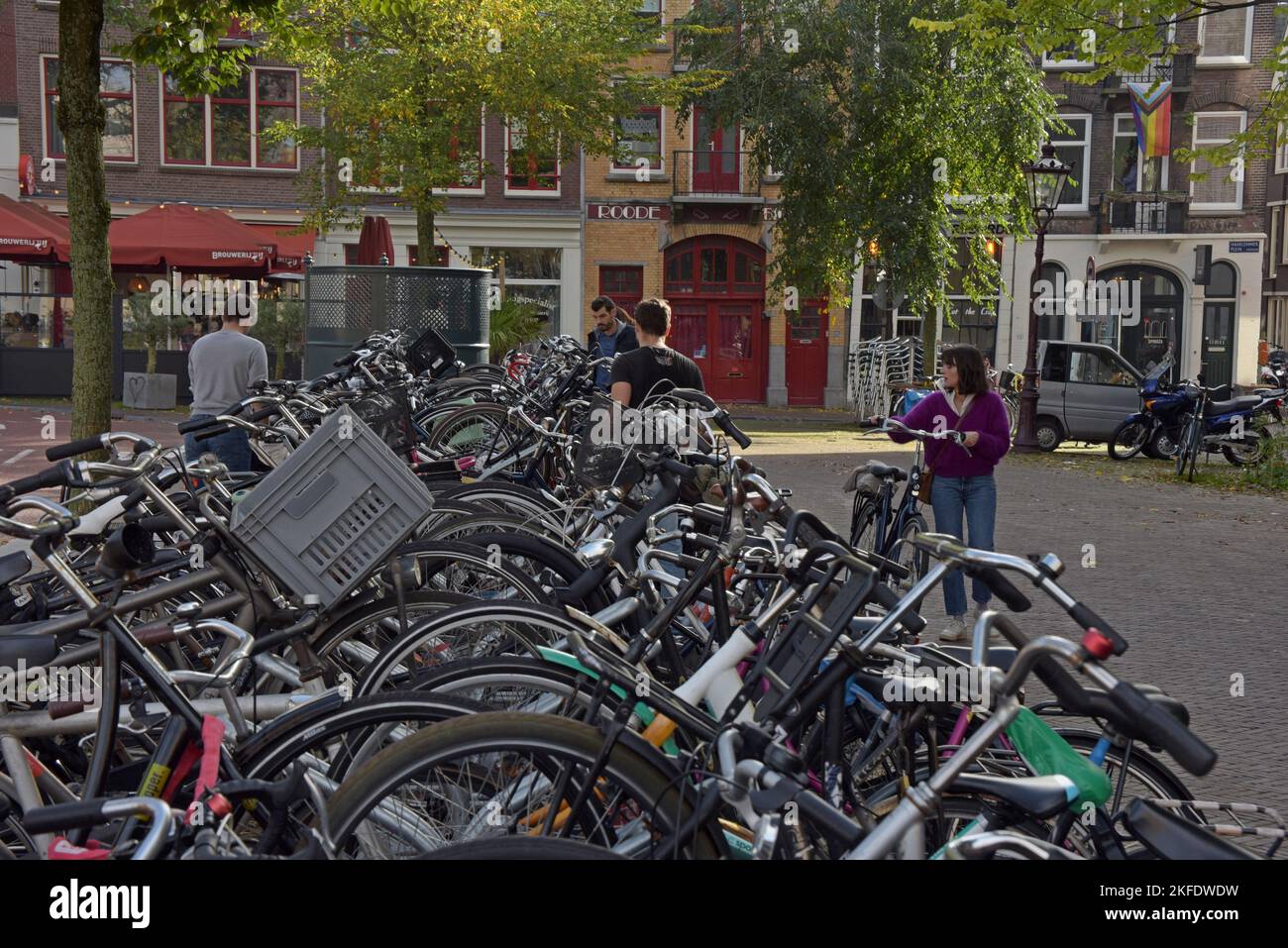 People looking for bike parking places in a crowded cycle parking place in Amsterdam, Netherlands. - Stock Image