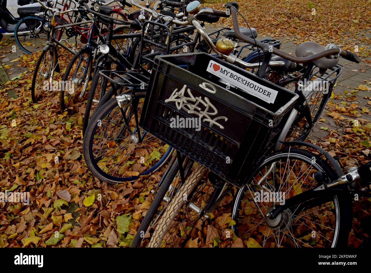 A row of parked bicycles in fallen autumn leaves at a bike parking space in Amsterdam, Netherlands Stock Photo