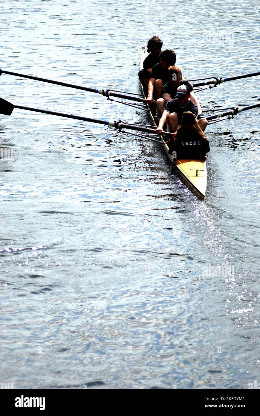 Rowers on the River Wear, Durham, United Kingdom Stock Photo Alamy