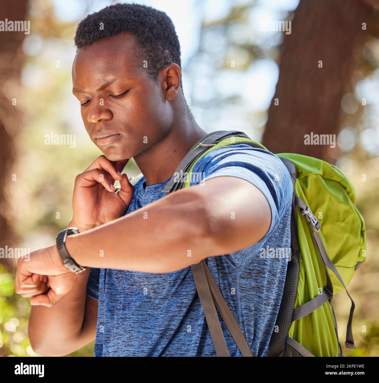 Hiking, backpack and pulse of man athlete in the woods using a watch to