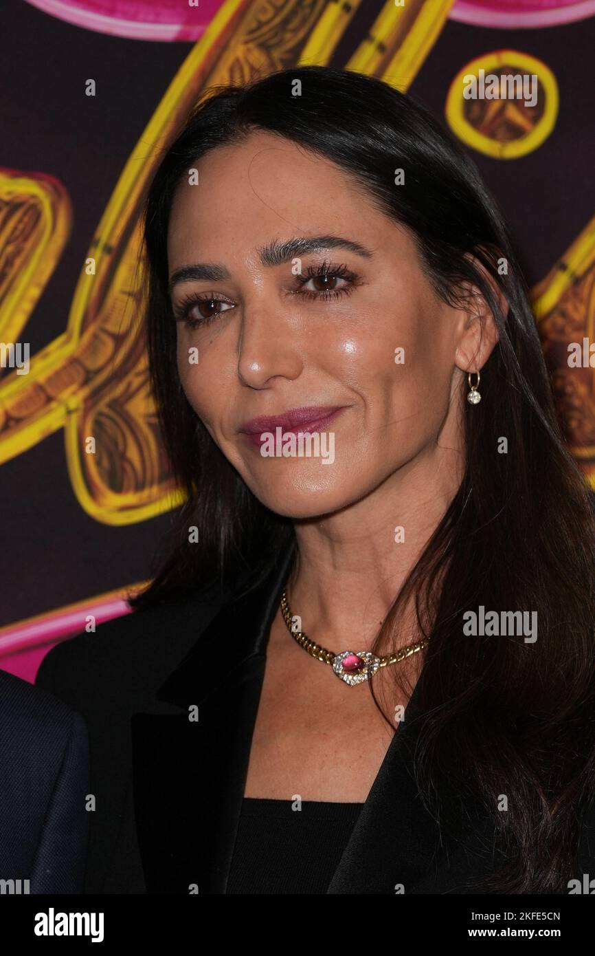 New York City, United States. 17th Nov, 2022. Lauren Silverman attends