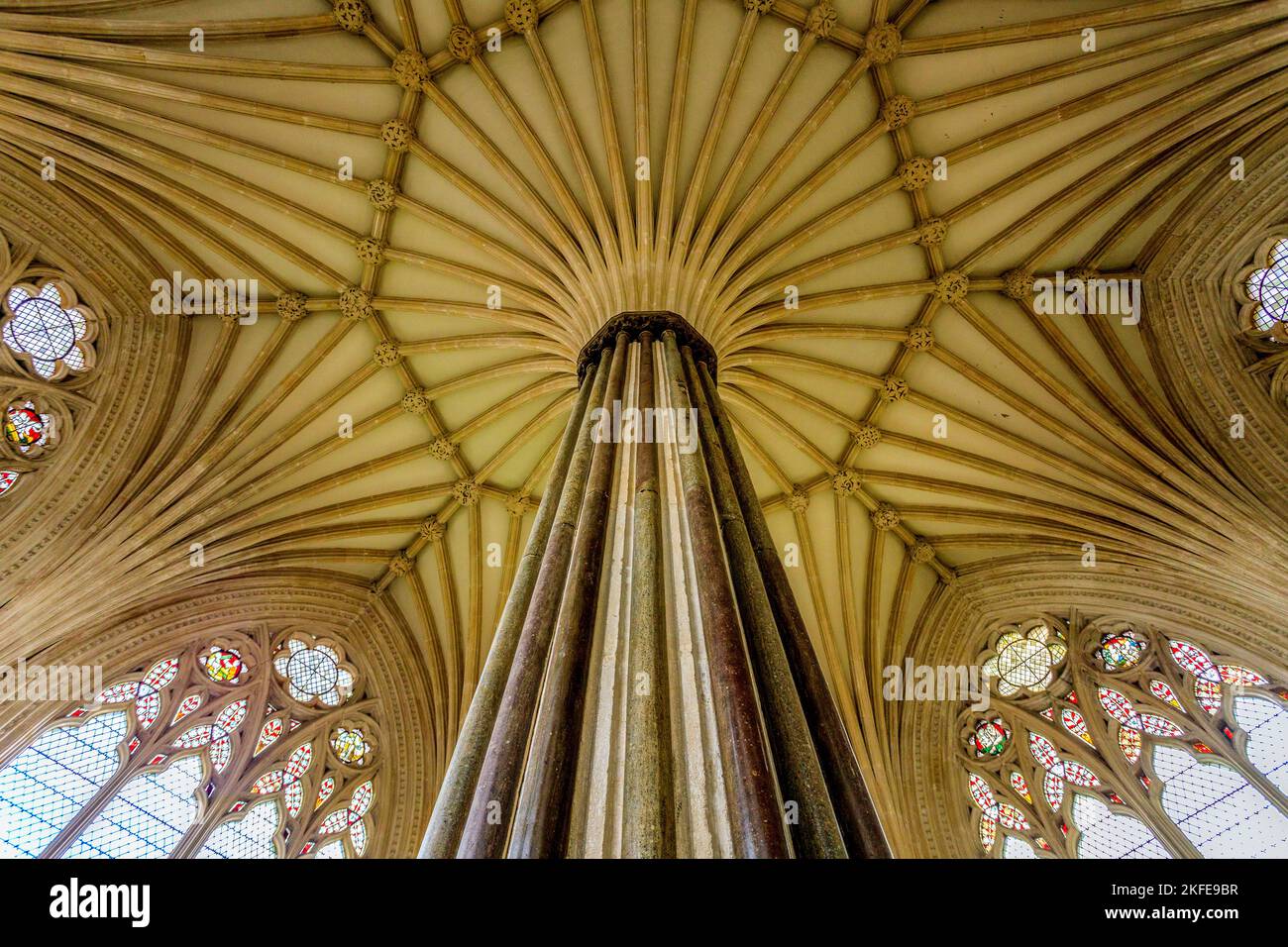 The decorative fan-vaulted ceiling of the Chapter House in Wells cathedral, Somerset, England, UK Stock Photo