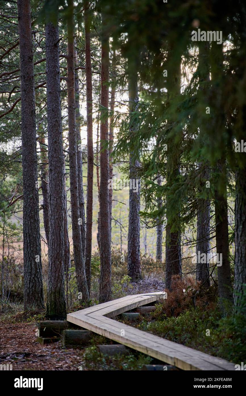 Scenic path leading through hi-res stock photography and images - Alamy