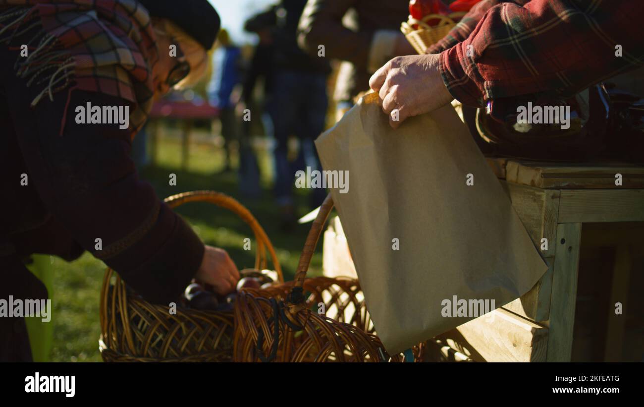 Senior happy farmer selling fruits and vegetables at the stall, talking and smiling. Local farmers market or autumn fair outdoors. Vegetarian and organic food. Agriculture. Point of sale system. Stock Photo