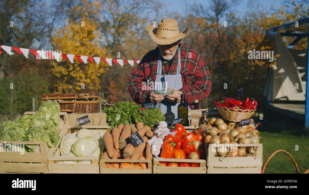 Senior farmer seller stands at the stall with fruits and vegetables, counts cash money. People shopping at local farmers market. Autumn fair. Organic food. Agriculture. Points of sale system. Stock Photo