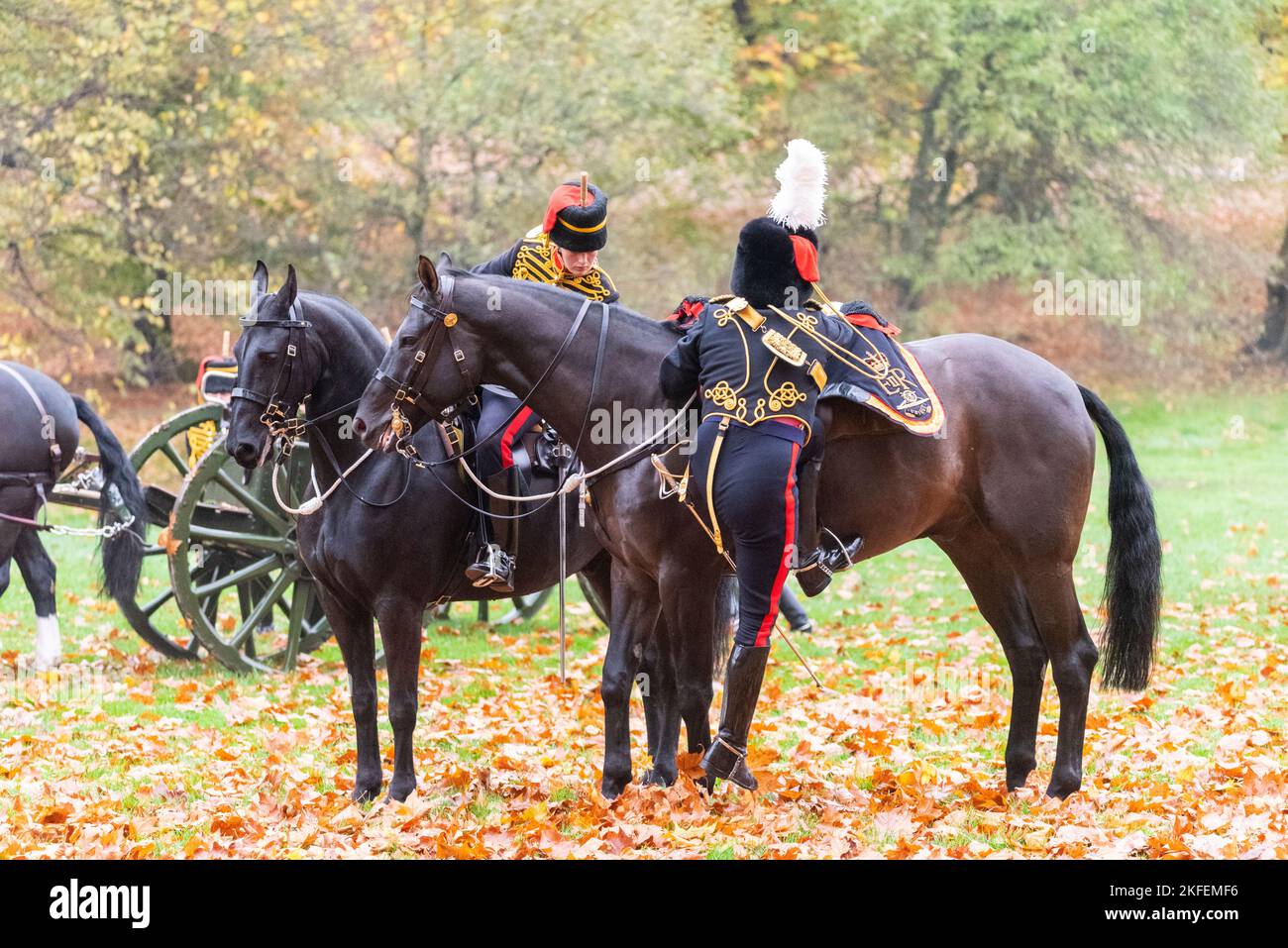 Kings Troop, Royal Horse Artillery carried out a 41 gun salute for the King Charles III's birthday in Green Park, London, UK. Rider mounting a horse Stock Photo