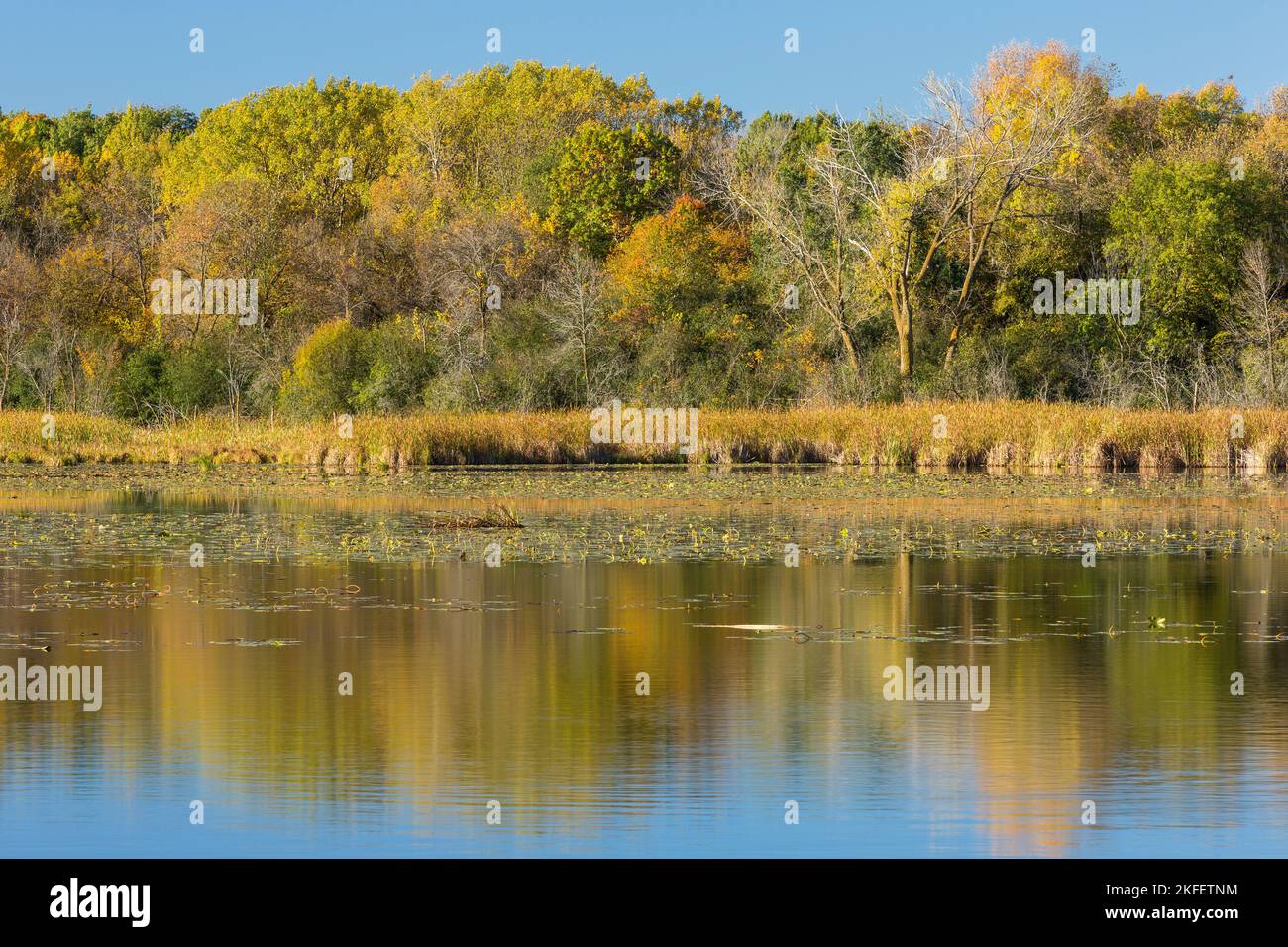 A scenic reflective lake during autumn Stock Photo - Alamy