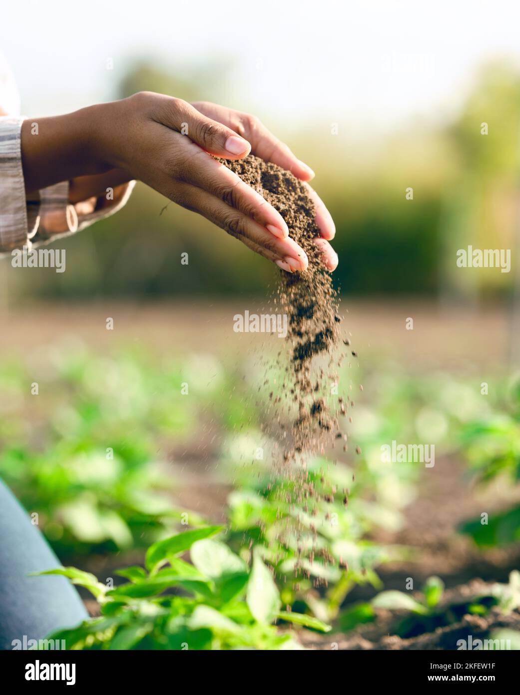 Farmer, hands and agriculture with soil, dirt or dust for plants