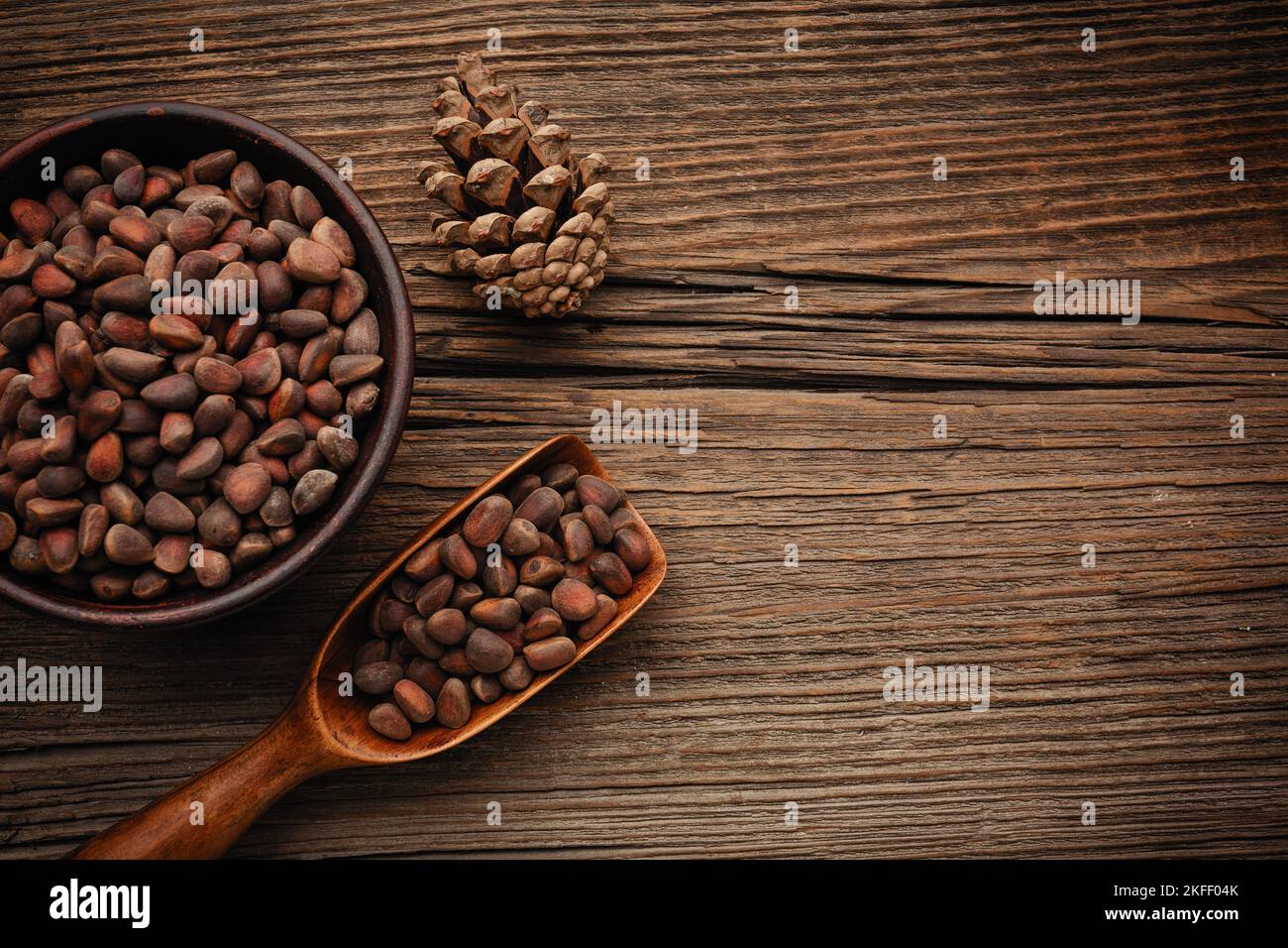 Siberian pine nuts and needles branch on a wooden table with a place for your text. Stock Photo