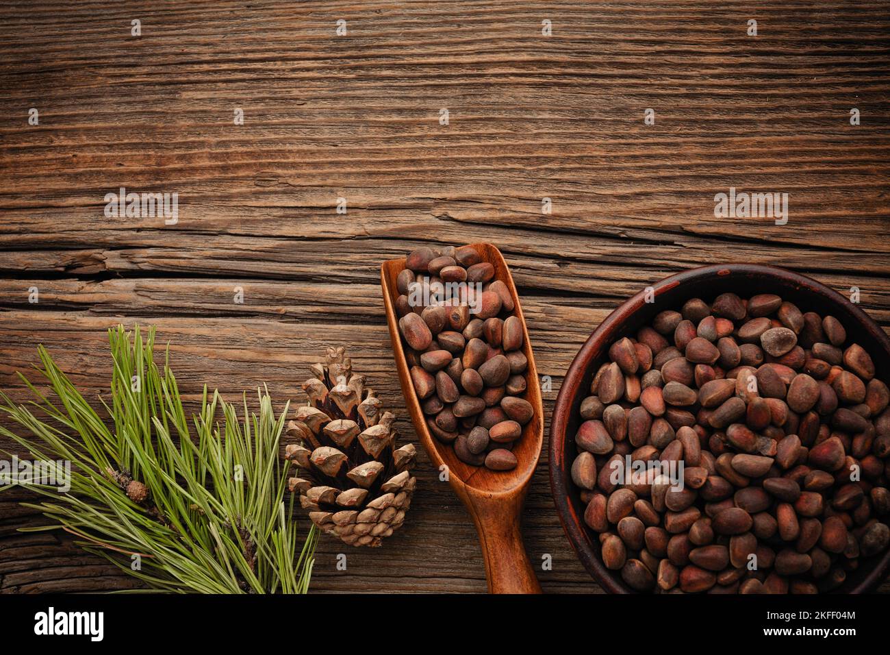 Siberian pine nuts and needles branch on a wooden table with a place for your text. Stock Photo