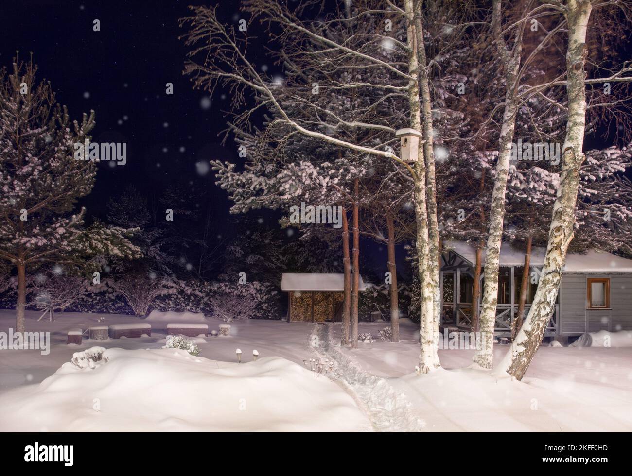 Night in the winter garden. Winter courtyard covered with snow Stock Photo