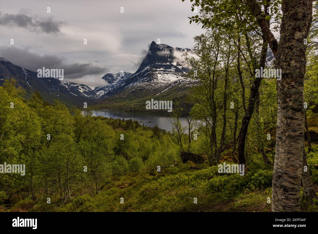 Bergpanorama im Innerdalen, Norwegen Stock Photo