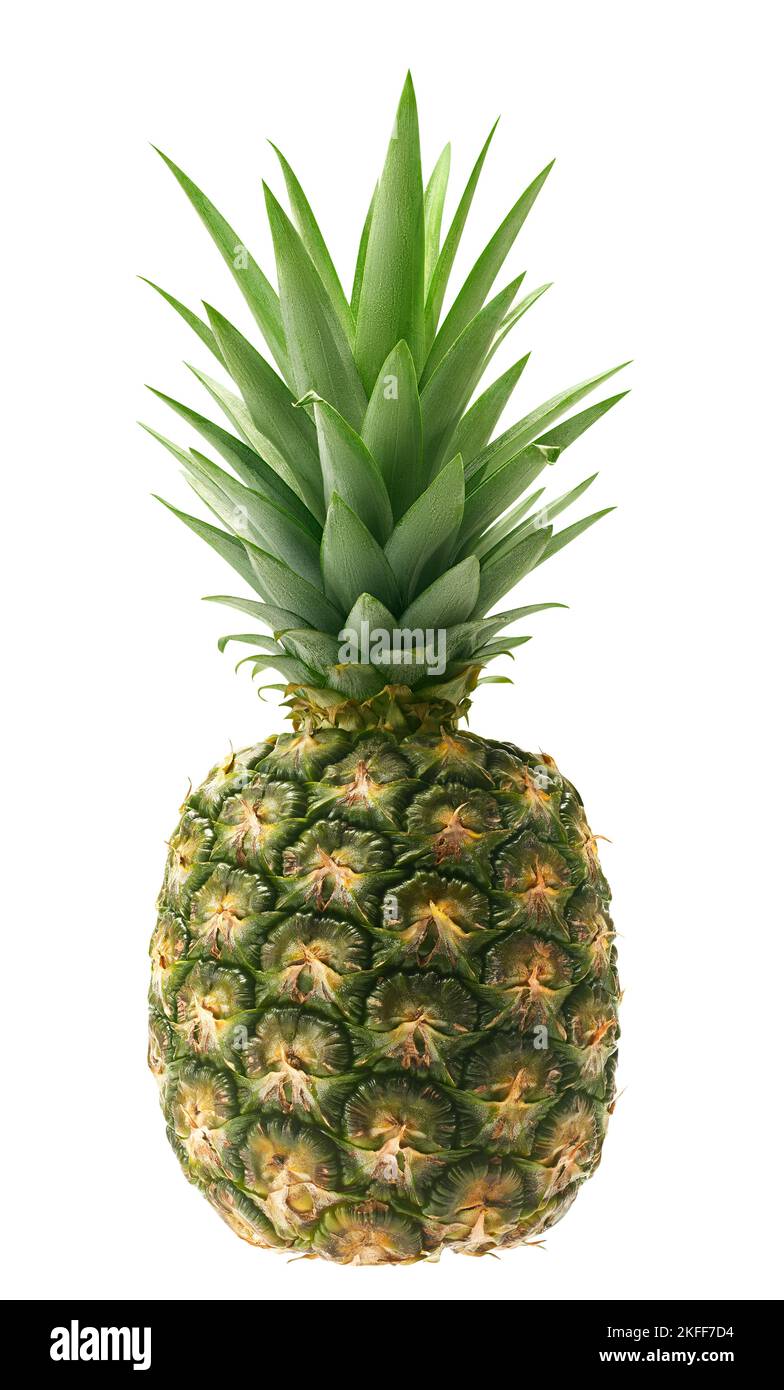 Whole fresh pineapple fruit Stock Photo