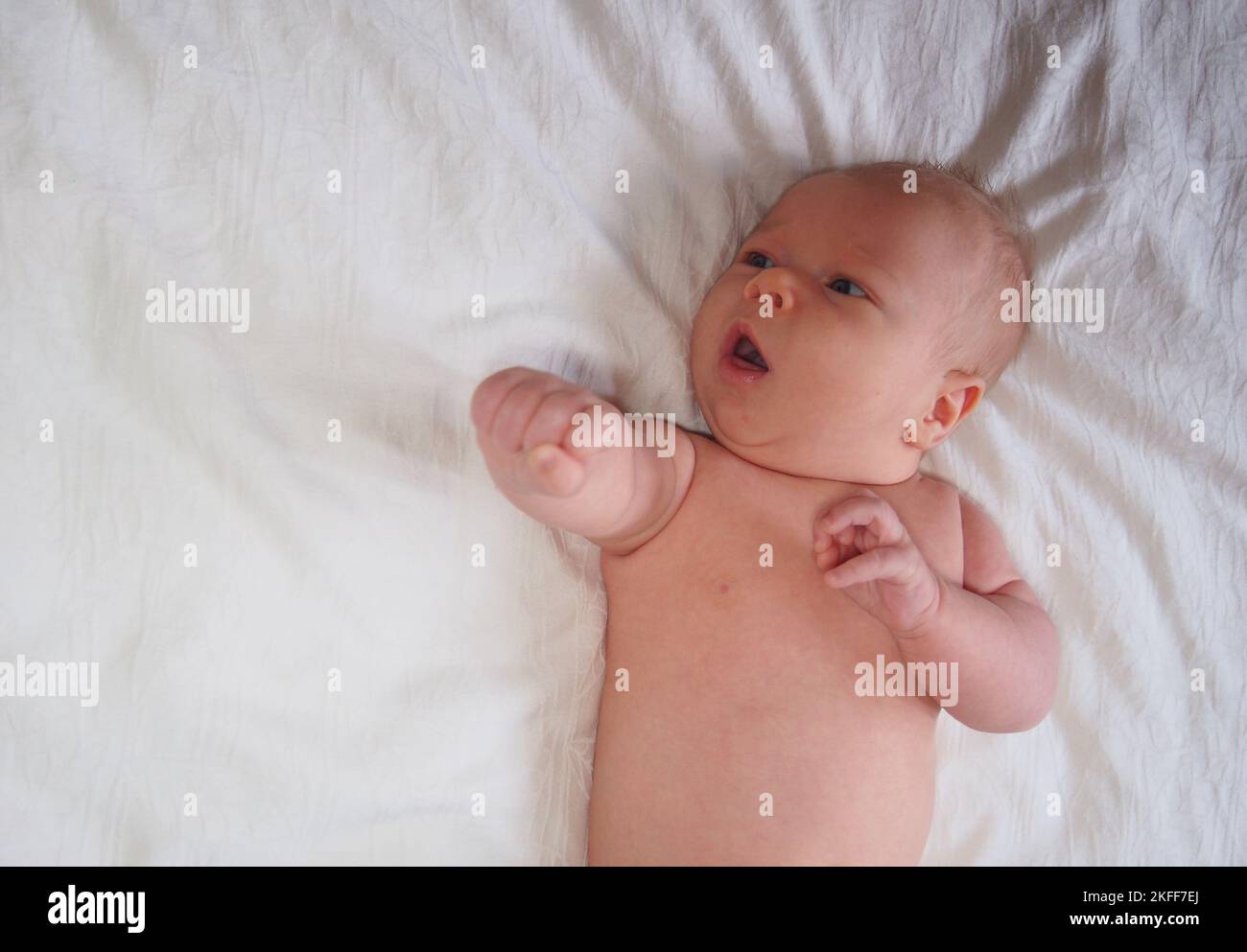 Chubby baby arm hires stock photography and images Alamy