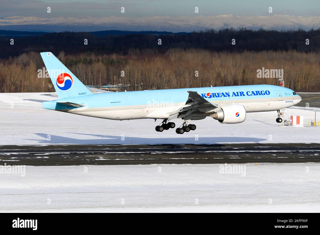 Korean Air Cargo Boeing 777 plane landing. Airplane 777 for cargo transport. Freighter aircraft of KoreanAir Cargo landing. Stock Photo