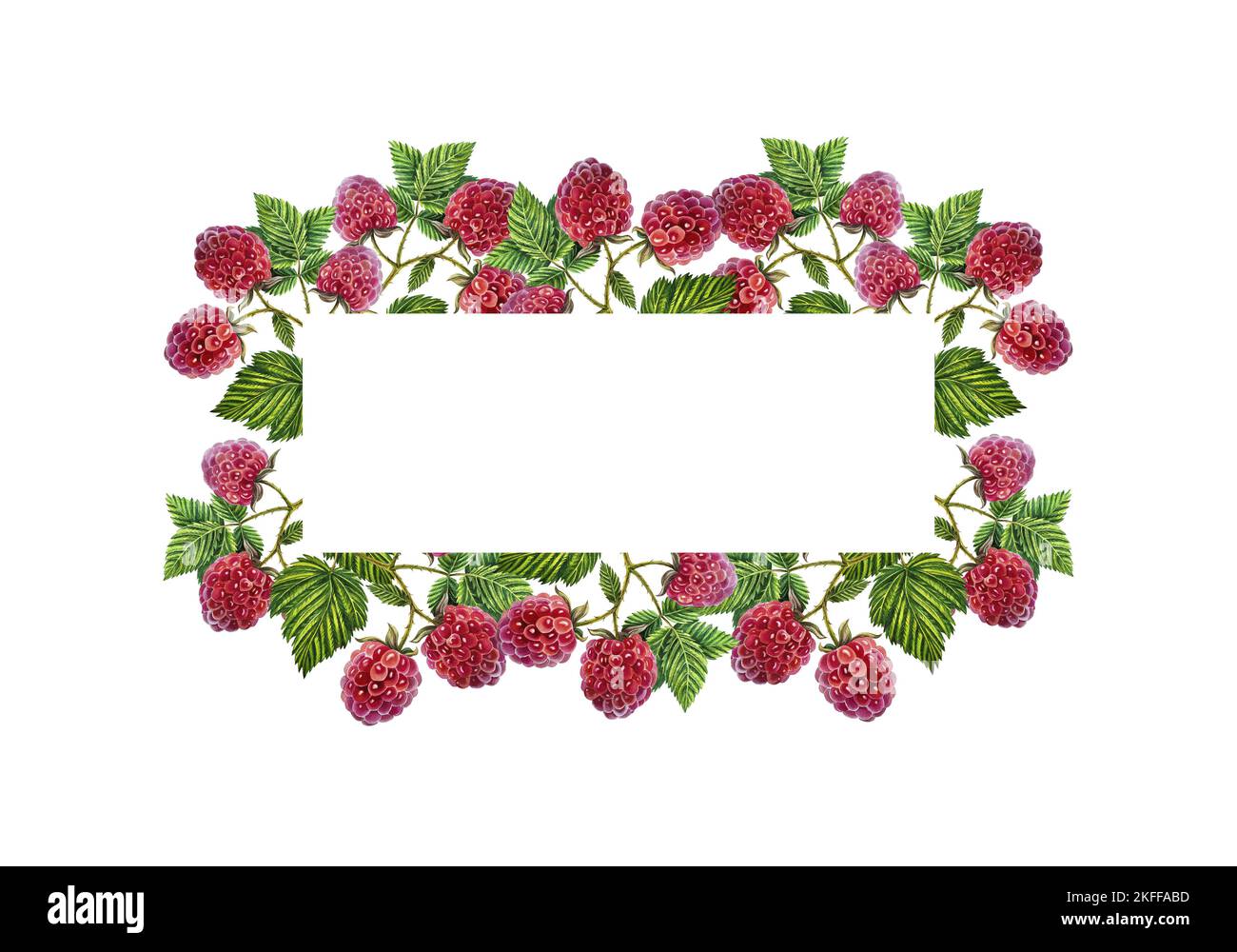 Frame with raspberries. Watercolor illustration. For inscriptions ...