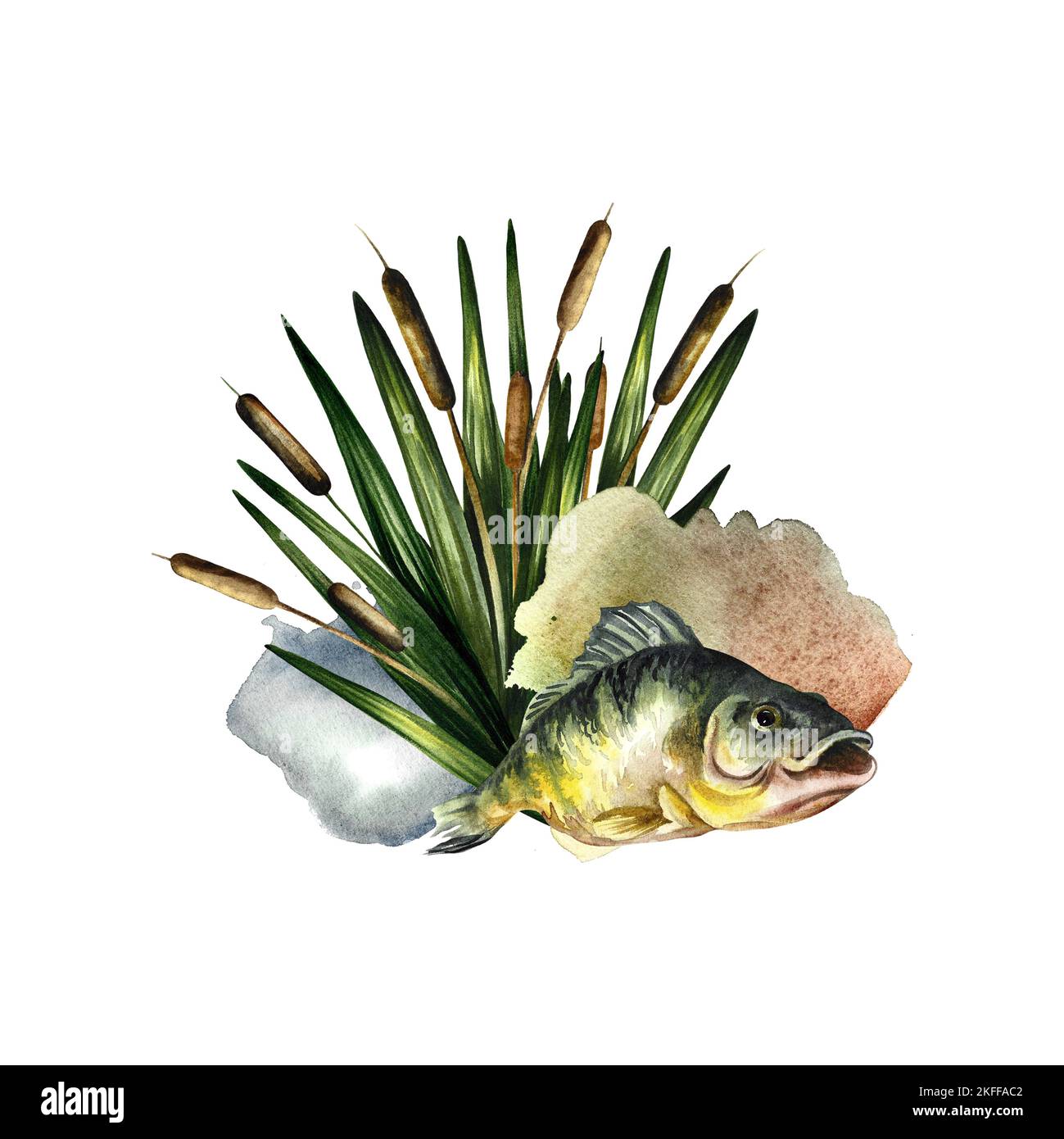 Composition with fish. Watercolor illustration. For fishing. For design, packaging, window stickers and banners, etc. Stock Photo