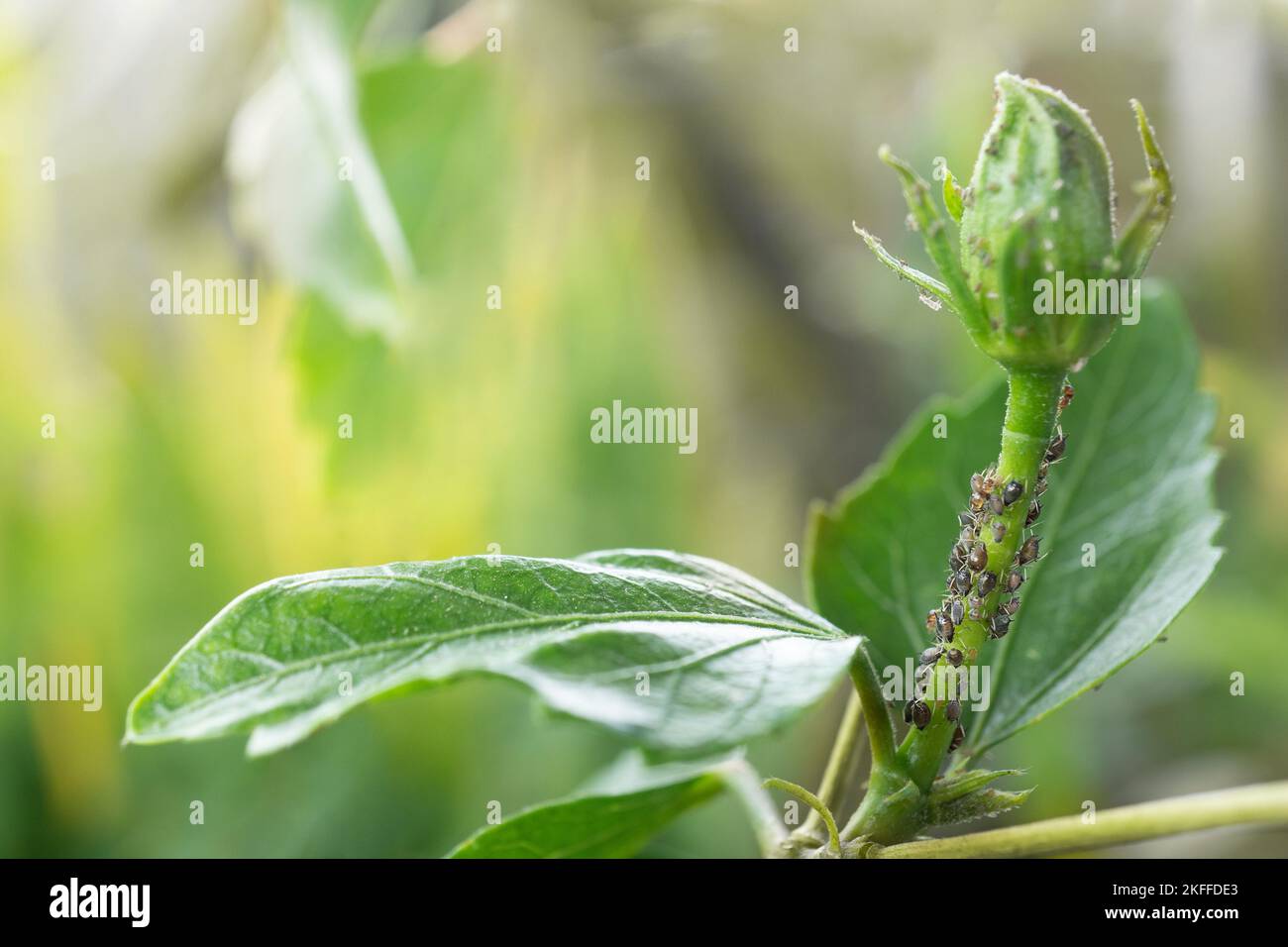 Hi res stock hi-res stock photography and images - Alamy