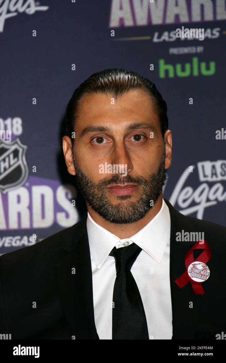 8,741 Vancouver Roberto Luongo Stock Photos, High-Res Pictures, and Images  - Getty Images