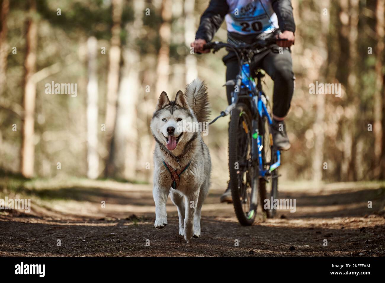 Husky harness for bike discount