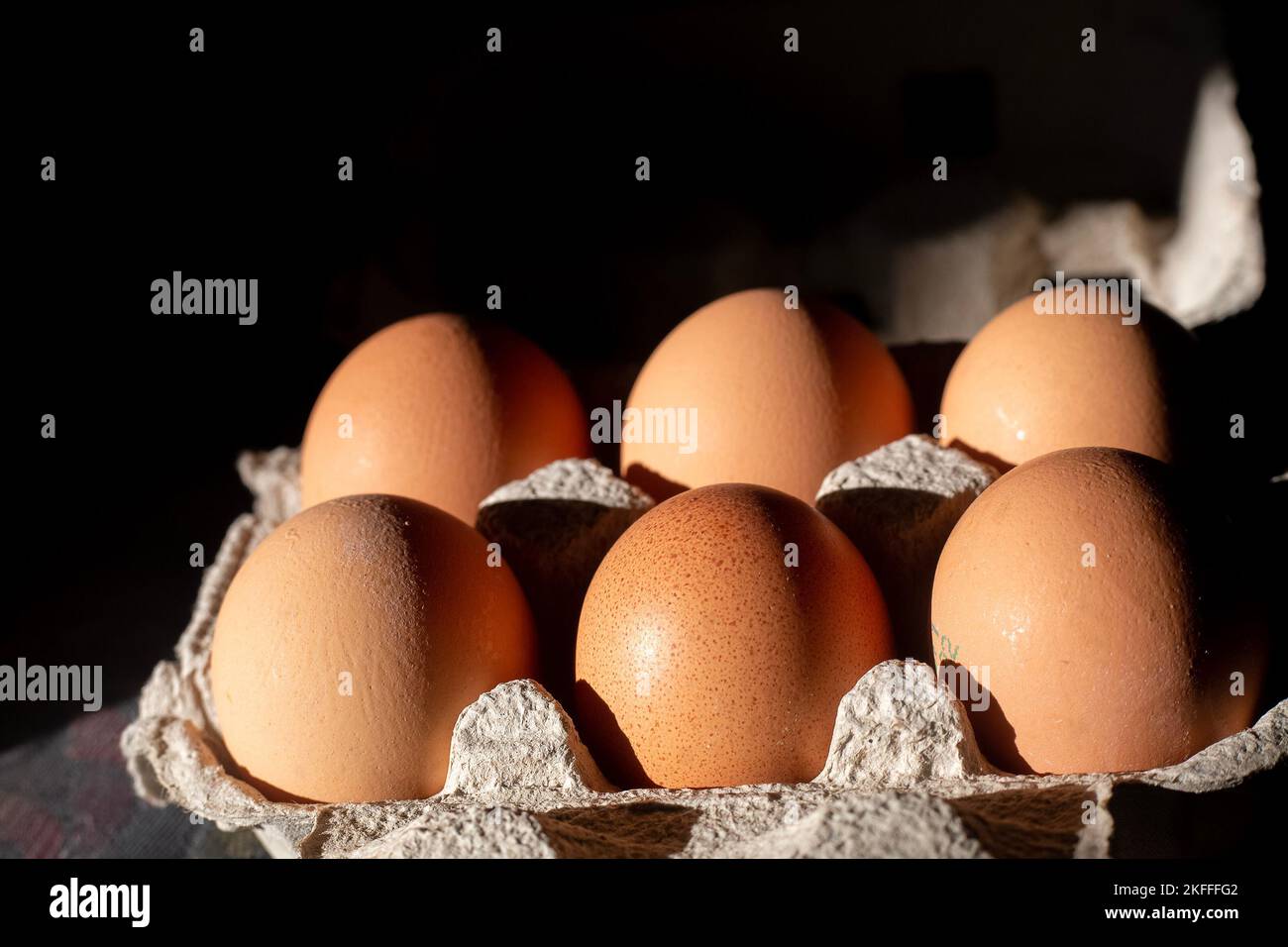 Six brown fresh eggs in grey paper container. High contrast picture