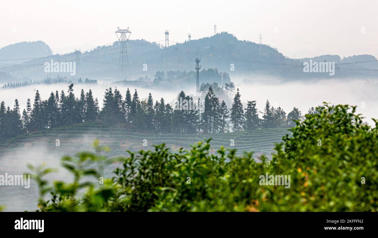 Chongqing weather in november