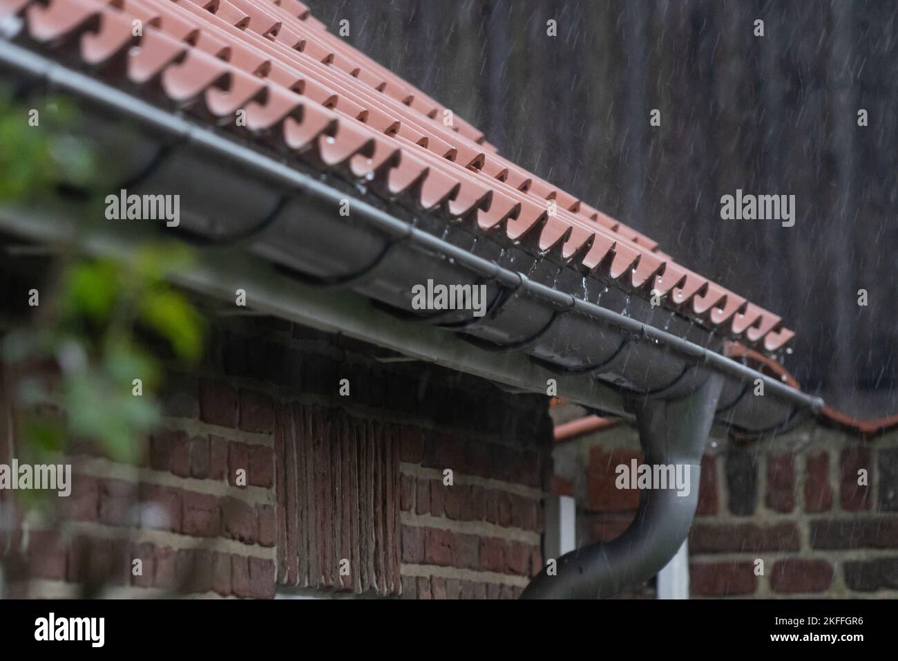 Water dripping from a roof into a rain gutter Stock Photo