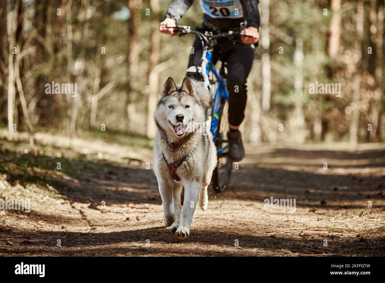 Dog pulling bike clearance