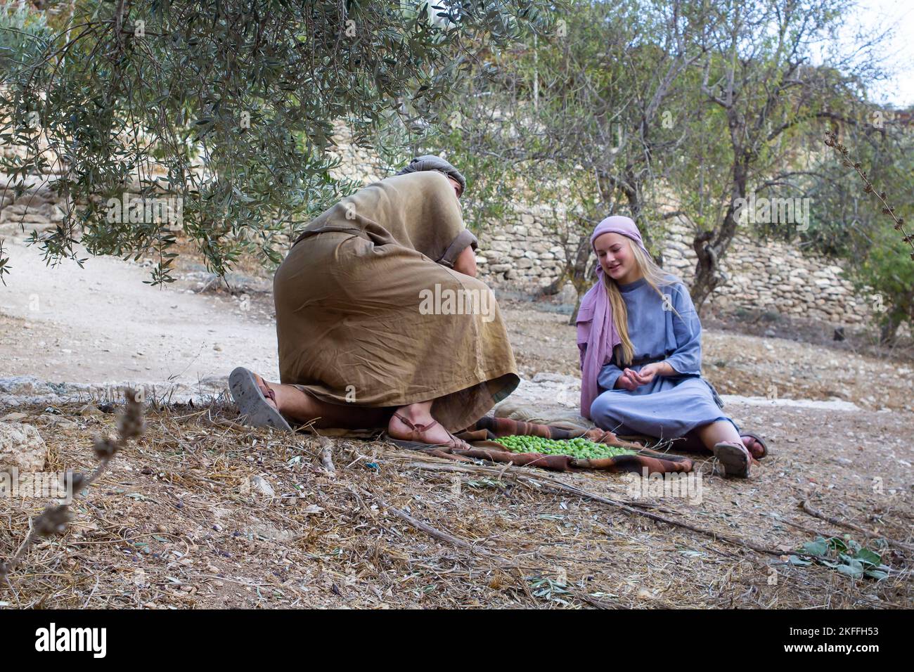 4 November 2022 A young couple in traditional clothing, grading harvested olives from an ancient olive tree. Located in the Nazareth Village Open Air Stock Photo