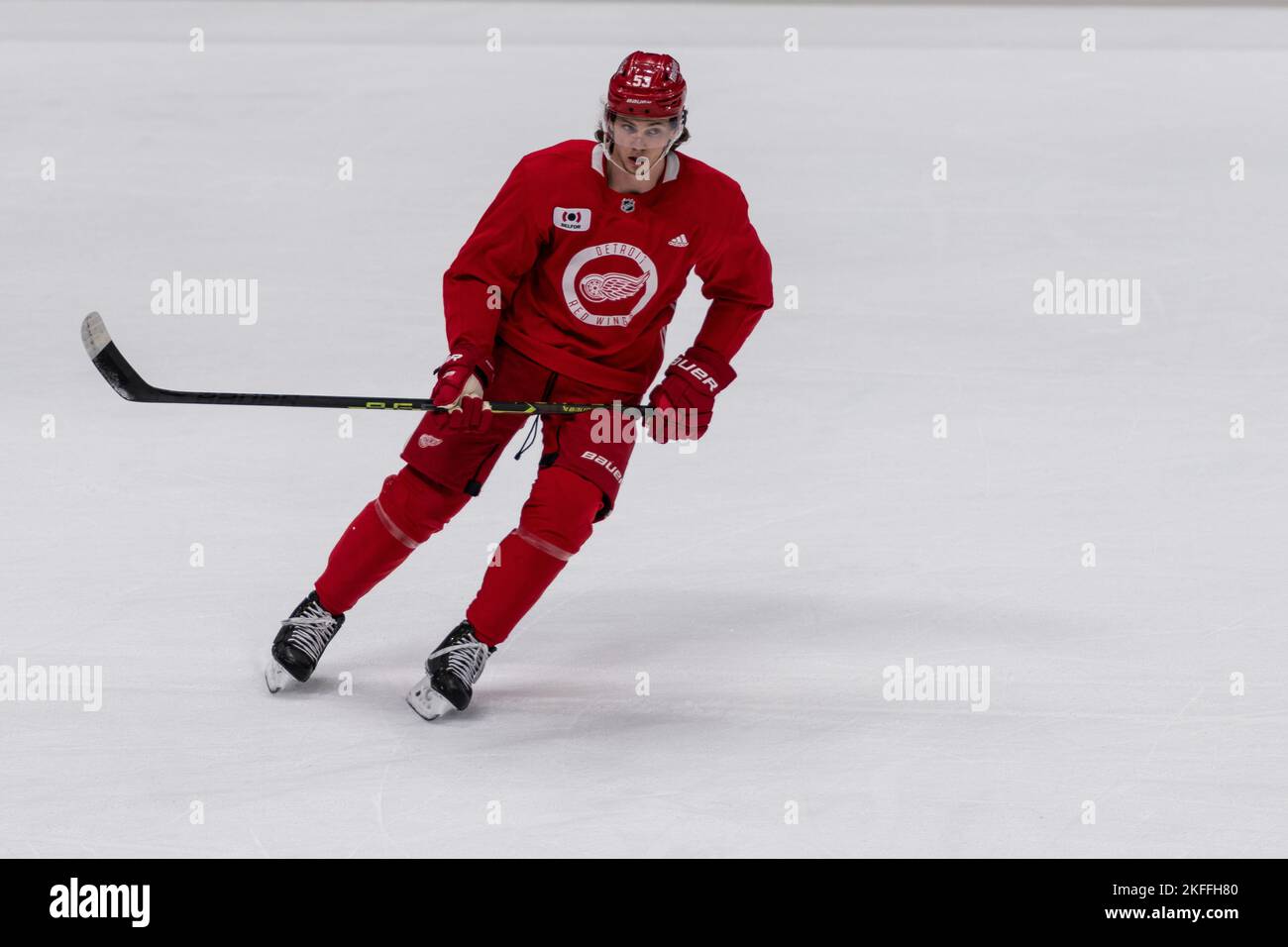 Detroit red wings hi-res stock photography and images