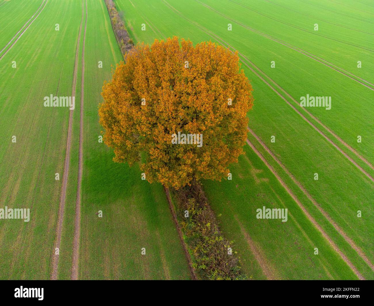 Ackerlandschaft im Herbst aus der Sicht einer Drohne Stock Photo