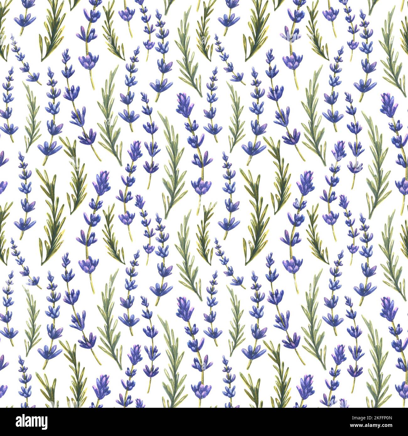 Twigs and leaves of lavender flowers. Watercolor, seamless pattern on a ...