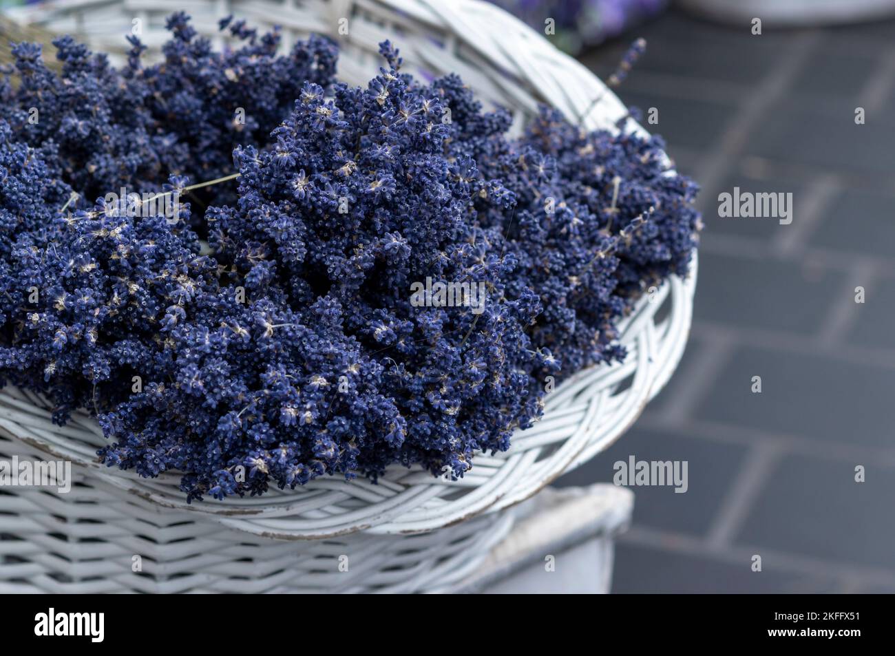 A basket of freshly harvested fragrant purple French lavender, agriculture and harvesting concept Stock Photo
