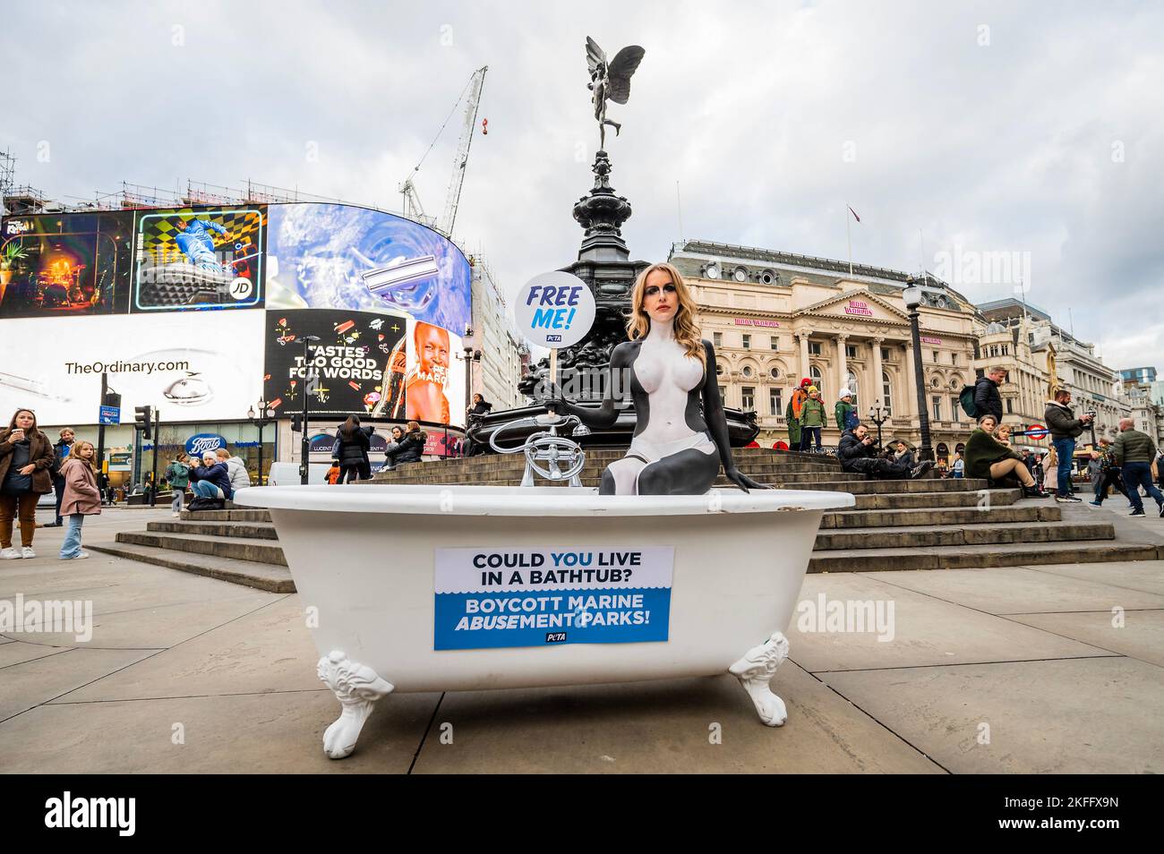 London, UK. 18th Nov, 2022. Love Island star Faye Winter (as part of a PETA protest) is body-painted as an orca and confines herself to a cramped bathtub in Piccadilly Circus to urge the many 'Brits planning getaways to skip marine parks that hold orcas and other dolphins in tanks that, to them, are the size of a bathtub'. As part of the campaign Jet2holidays - an official partner of Love Island - will be asked to stop promoting marine parks, like Tenerife's Loro Parque, in line with many other major travel companies. Credit: Guy Bell/Alamy Live News Stock Photo
