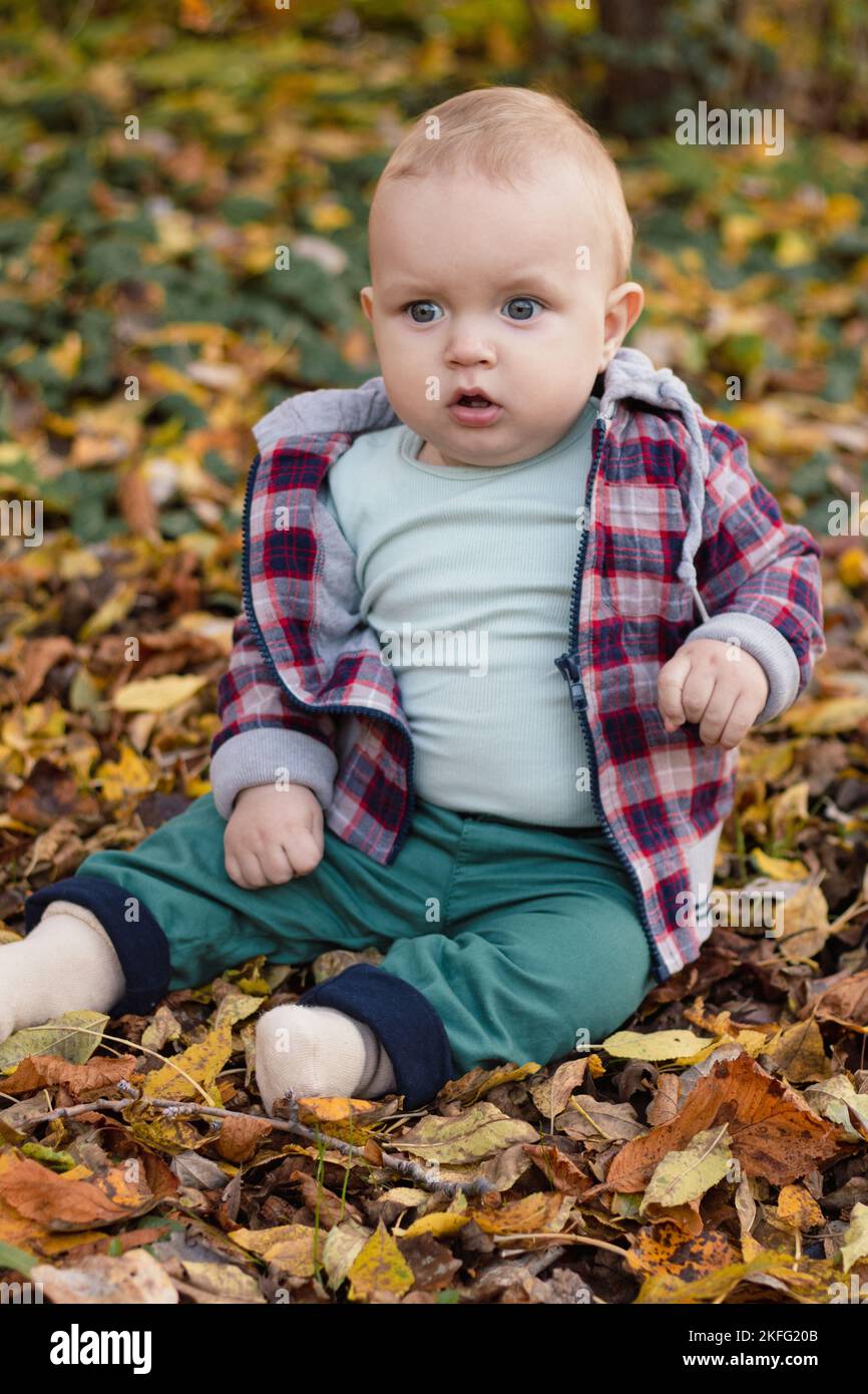 Little cute baby boy have fun outdoors in the park in autumn time Stock