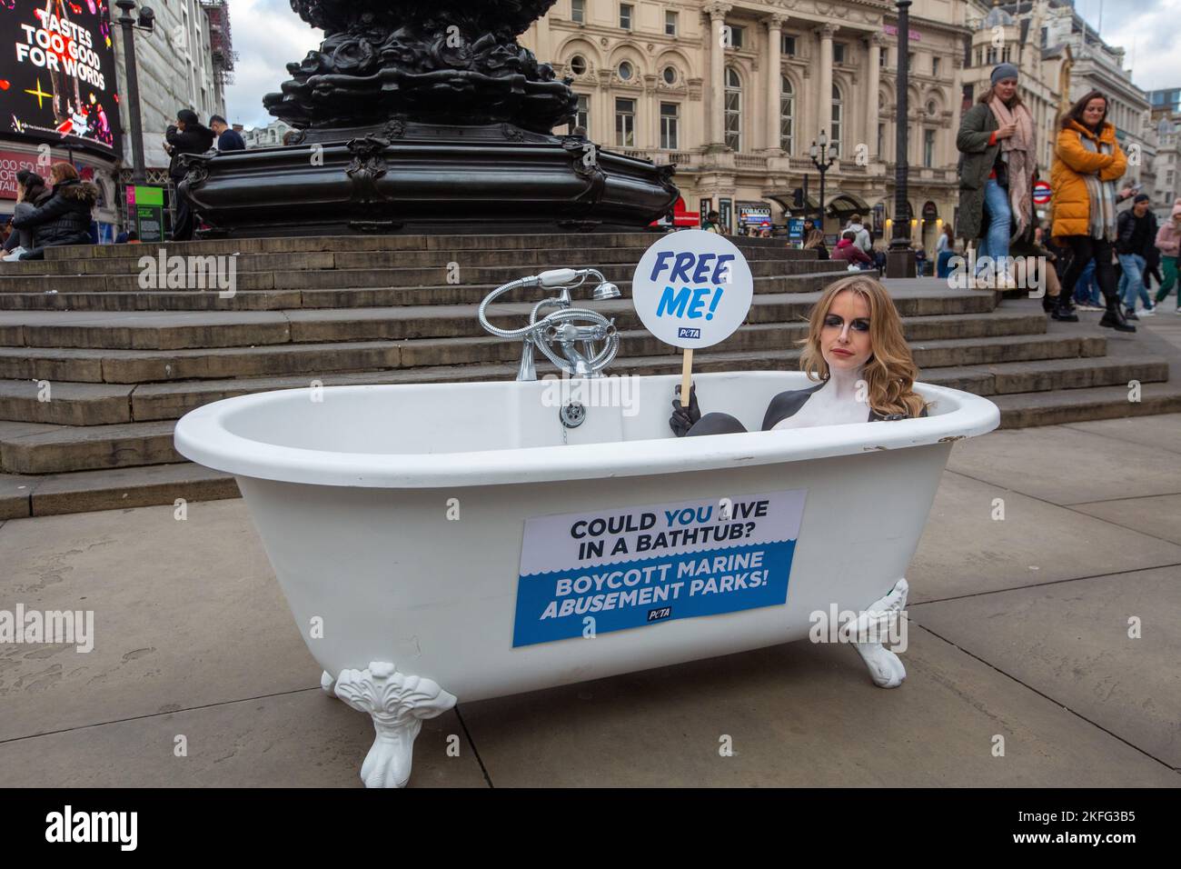 London, England, UK. 18th Nov, 2022. Love Island's FAYE WINTER is seen body-painted as orca and posing in a bathtub in Piccadilly Circus to urge Brits to avoid marine parks for holidays where orcas and other dolphins are pet in tanks that, to them, are the size of a bathtub. (Credit Image: © Tayfun Salci/ZUMA Press Wire) Stock Photo