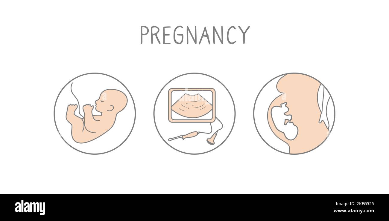 Pregnancy icon set. Linear simple illustration fertilization and ...