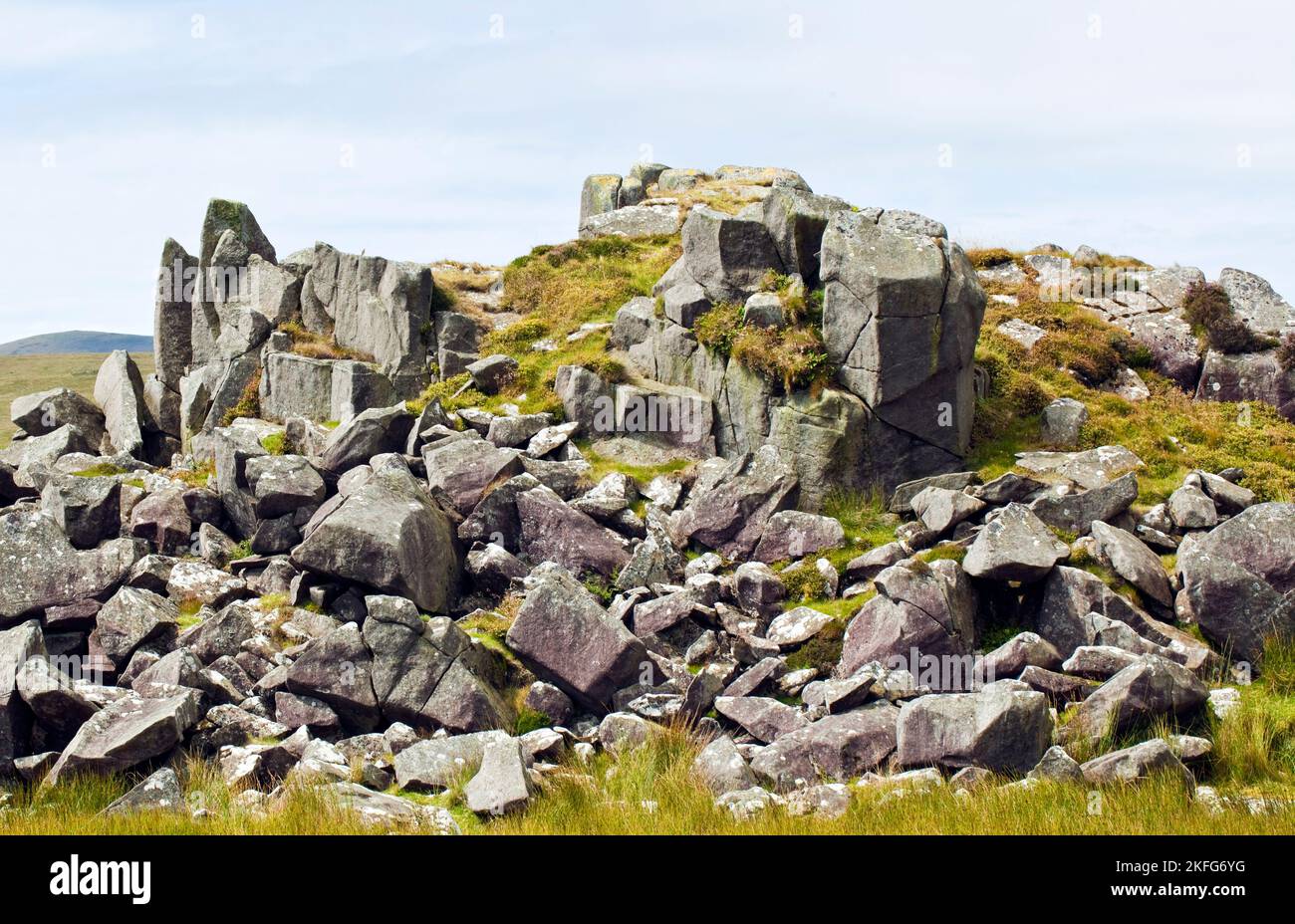 Outcrops of Preseli Bluestone source of rocks of the inner circle of Stonehenge. Preseli Hills Pembrokeshire Wales UK Stock Photo