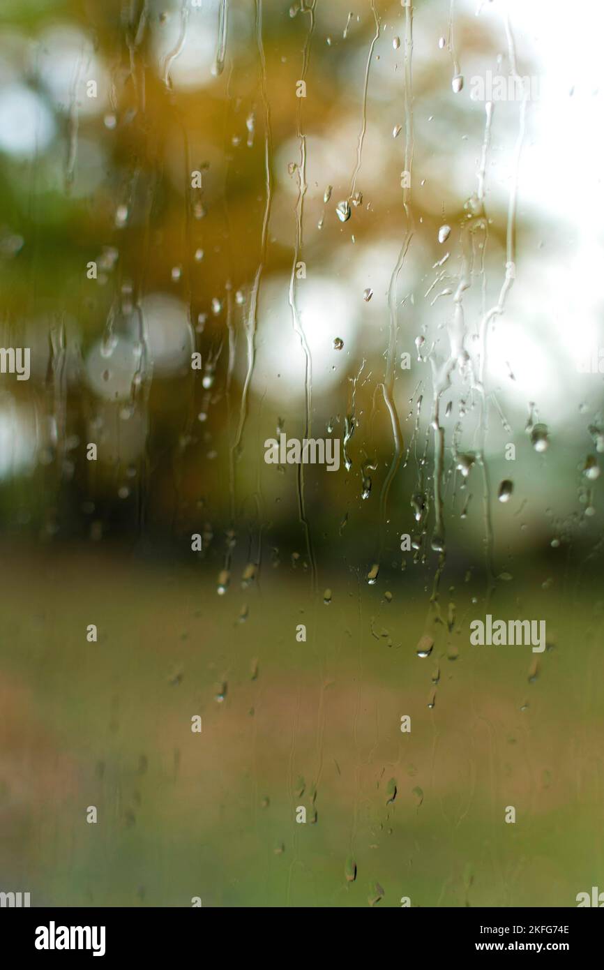 Vertical selective focus of raindrops on a window Stock Photo