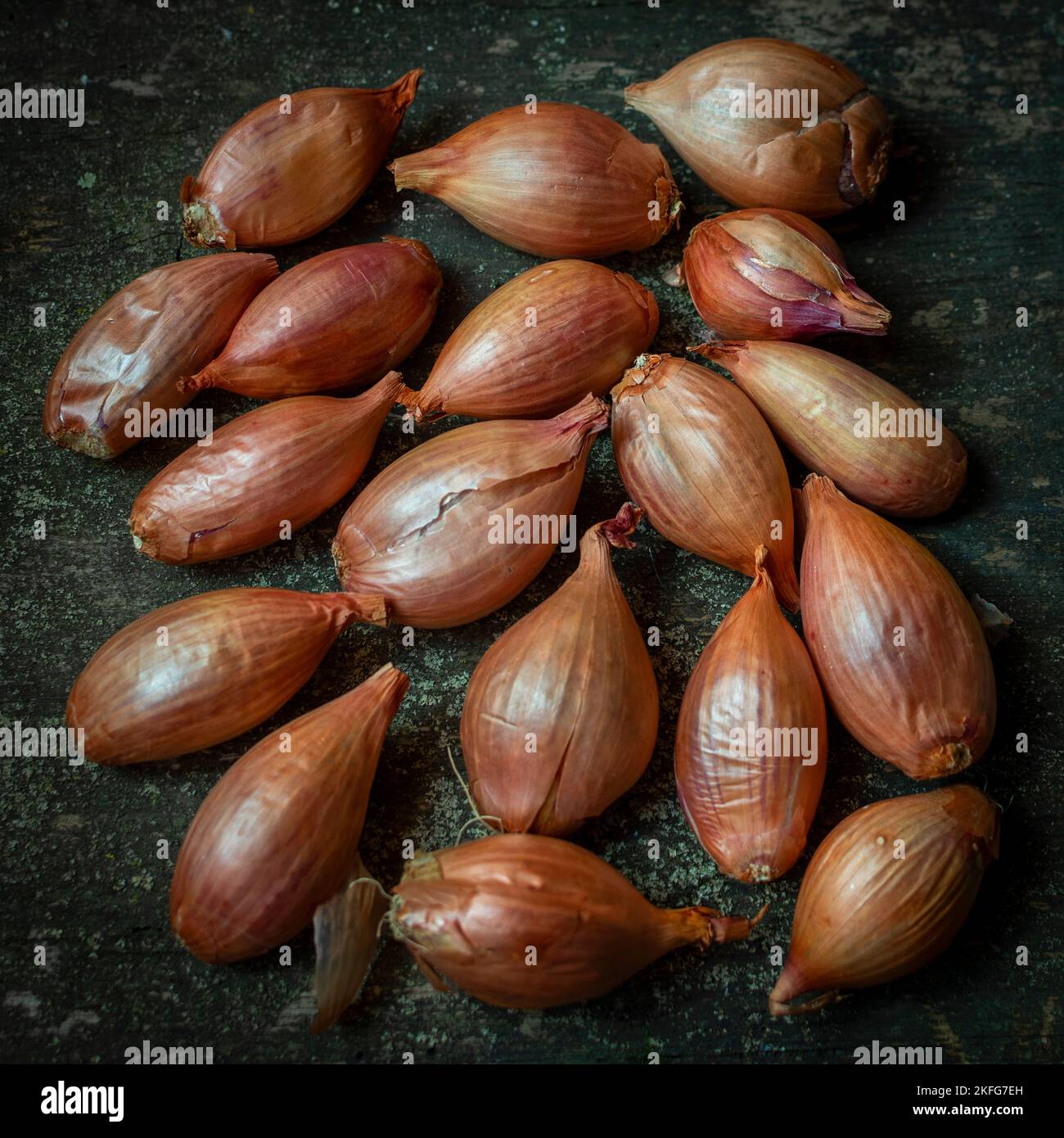 Closeup of long brown dry shallots on the ground Stock Photo