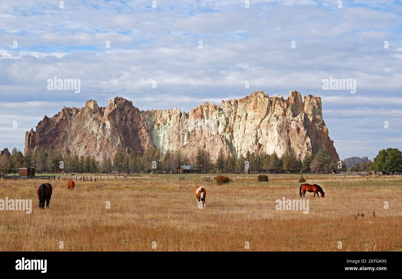 Horses graze near Smith Rock State Park, Oregon, a massive deposit of volcanic material and one of the premier rock climbing areas in the United State Stock Photo