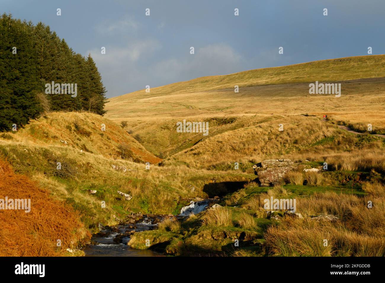 Brecon Beacons, South Wales, UK.  18 November '22.  Warm afternoon light on the path to Pen Y Fan.  Credit: Andrew Bartlett/Alamy Live News Stock Photo