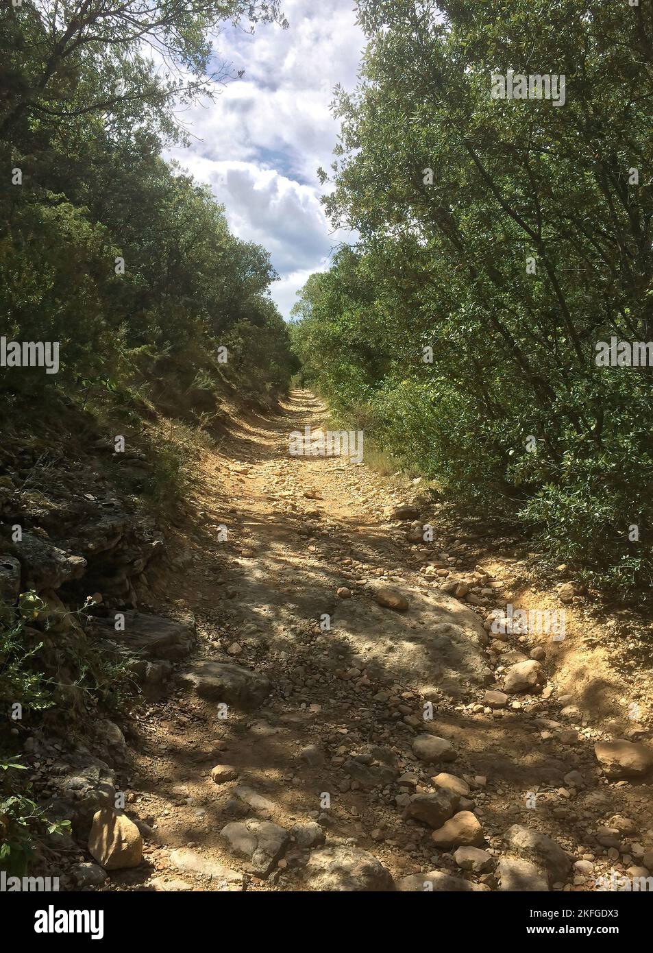 Vertical closeup on a dry rigid Mediterranean walking path between green shrubs against a blue sky Stock Photo