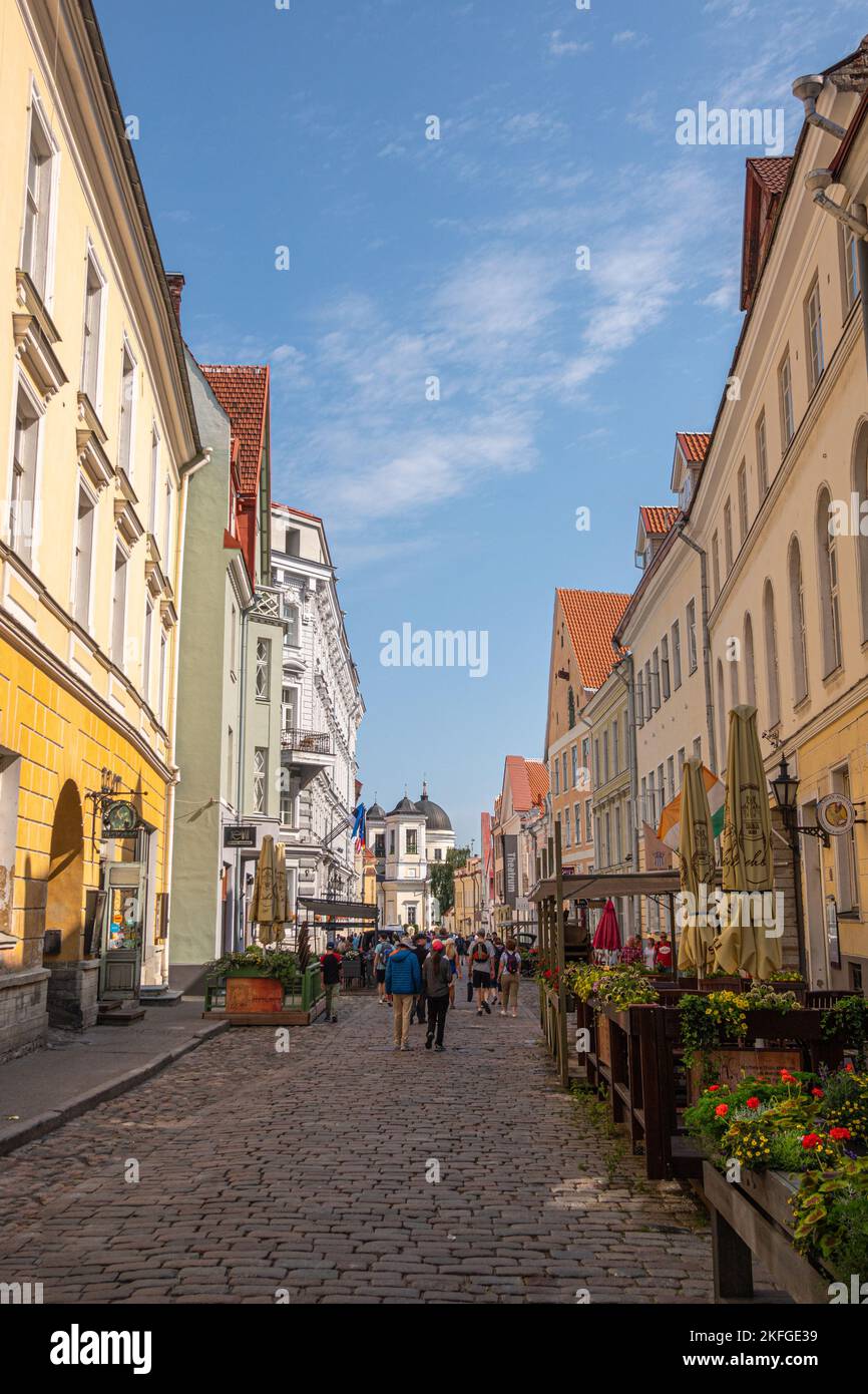 Estonia, Tallinn - July 21, 2022: Looking north into Vene street from Indian House restaurant. Facades on both sides under blue sky. People and flower Stock Photo