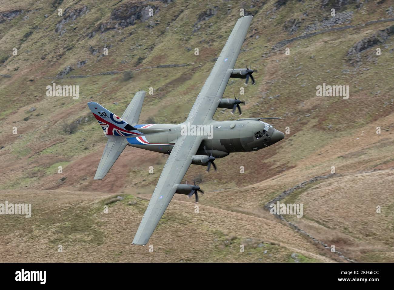 Machynlleth Wales UK. 50 year anniversary RAF Hercules flying through the Mach Loop at low level with hills in the background. Stock Photo