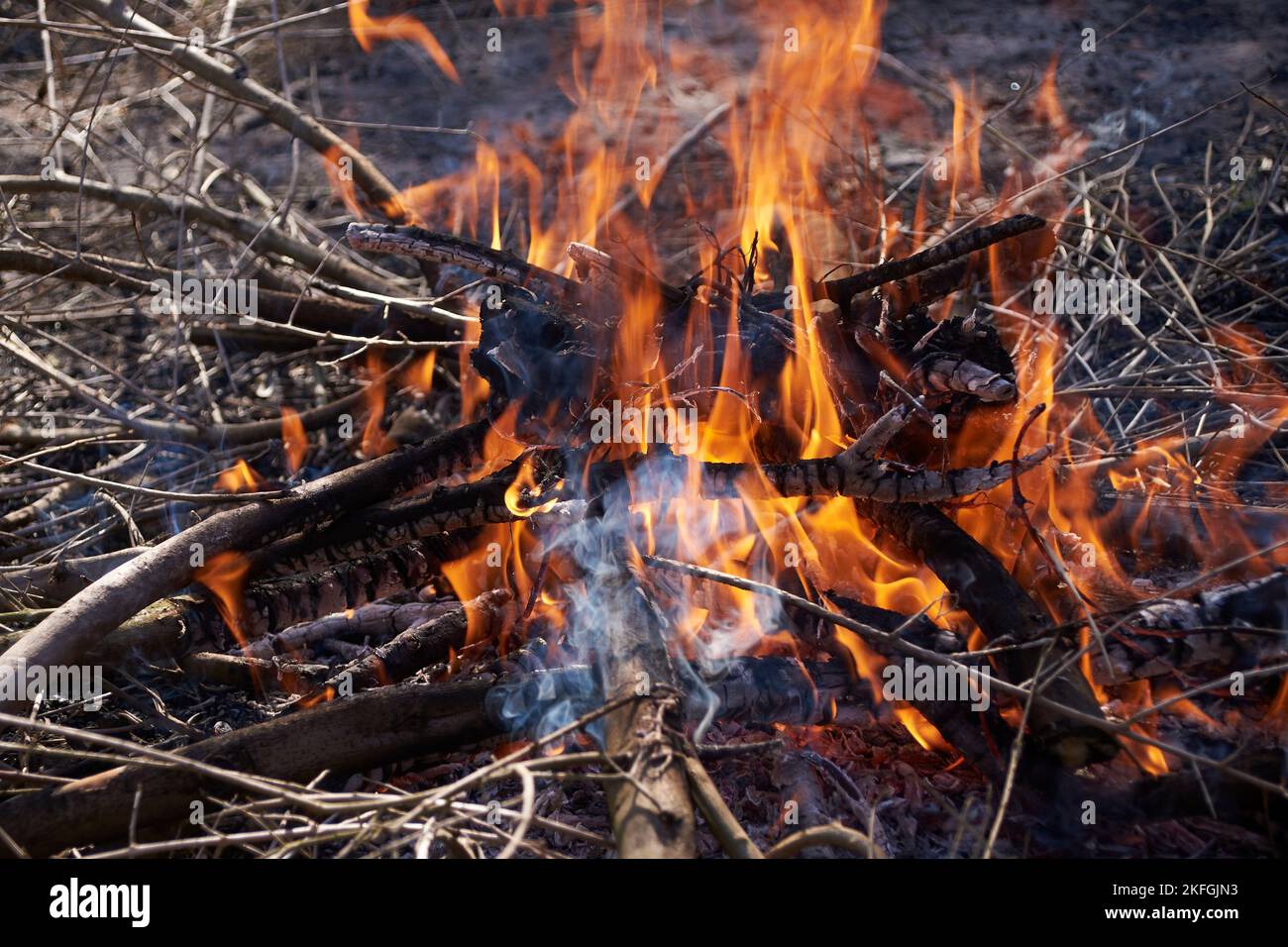 A small wood fire in the field.Out of focus background, grass, small ...